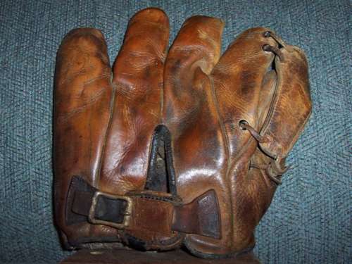 Shoe Horn Type Web Back